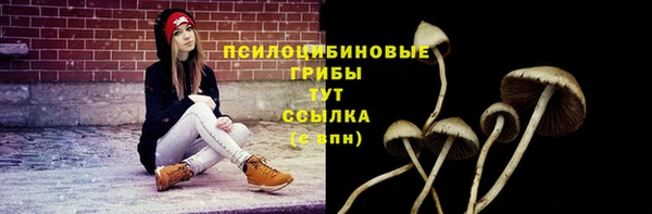 метадон Арсеньев