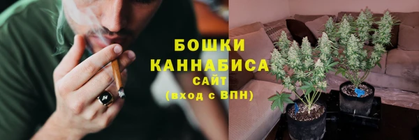 молекула духа Аркадак